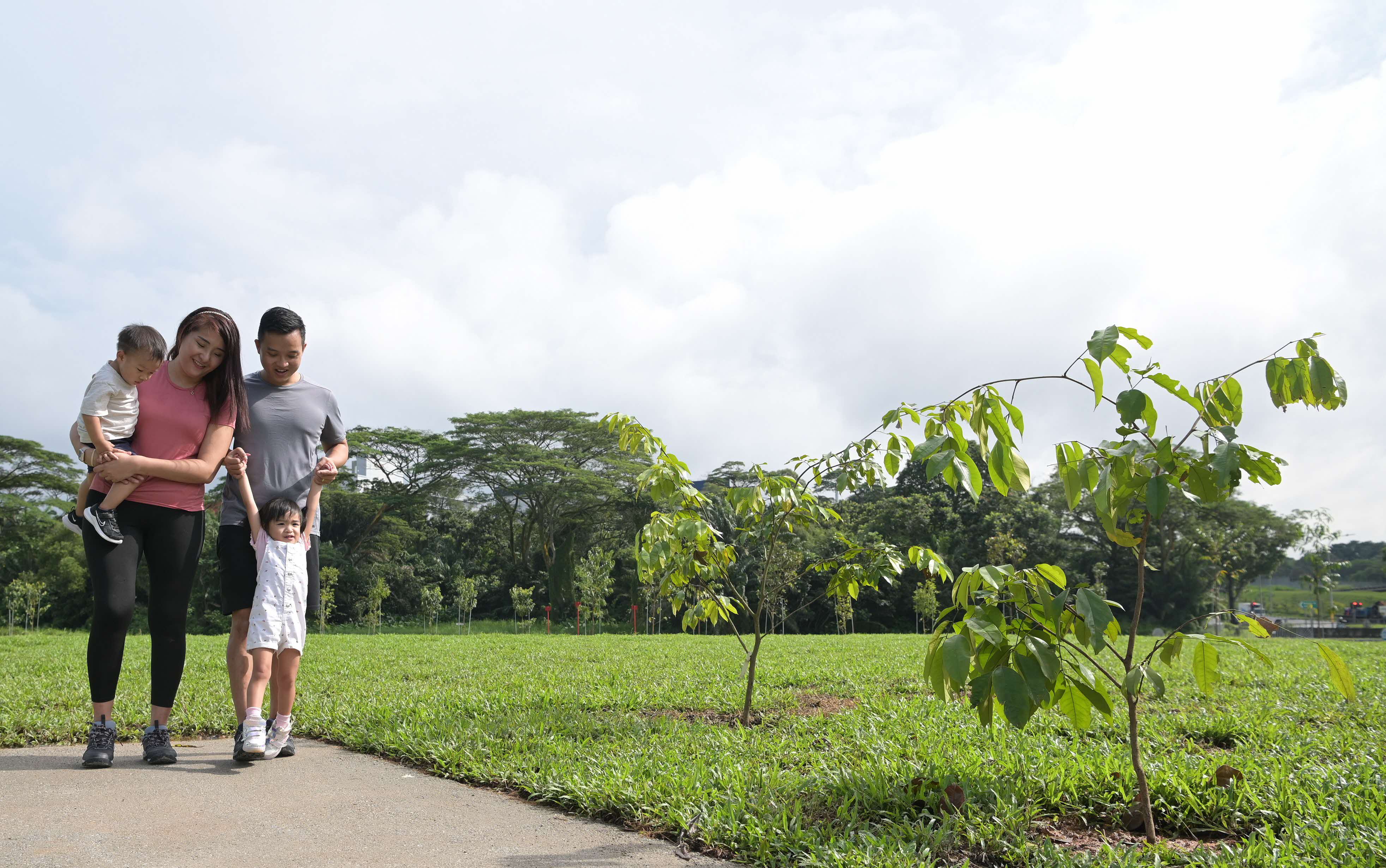 A family of four stands on a path in a park with lush green grass, trees, and small plants.